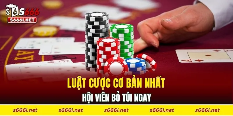 Luật cược cơ bản nhất hội viên bỏ túi ngay