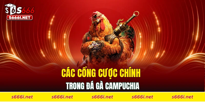 Các cổng cược chính trong đá gà Campuchia